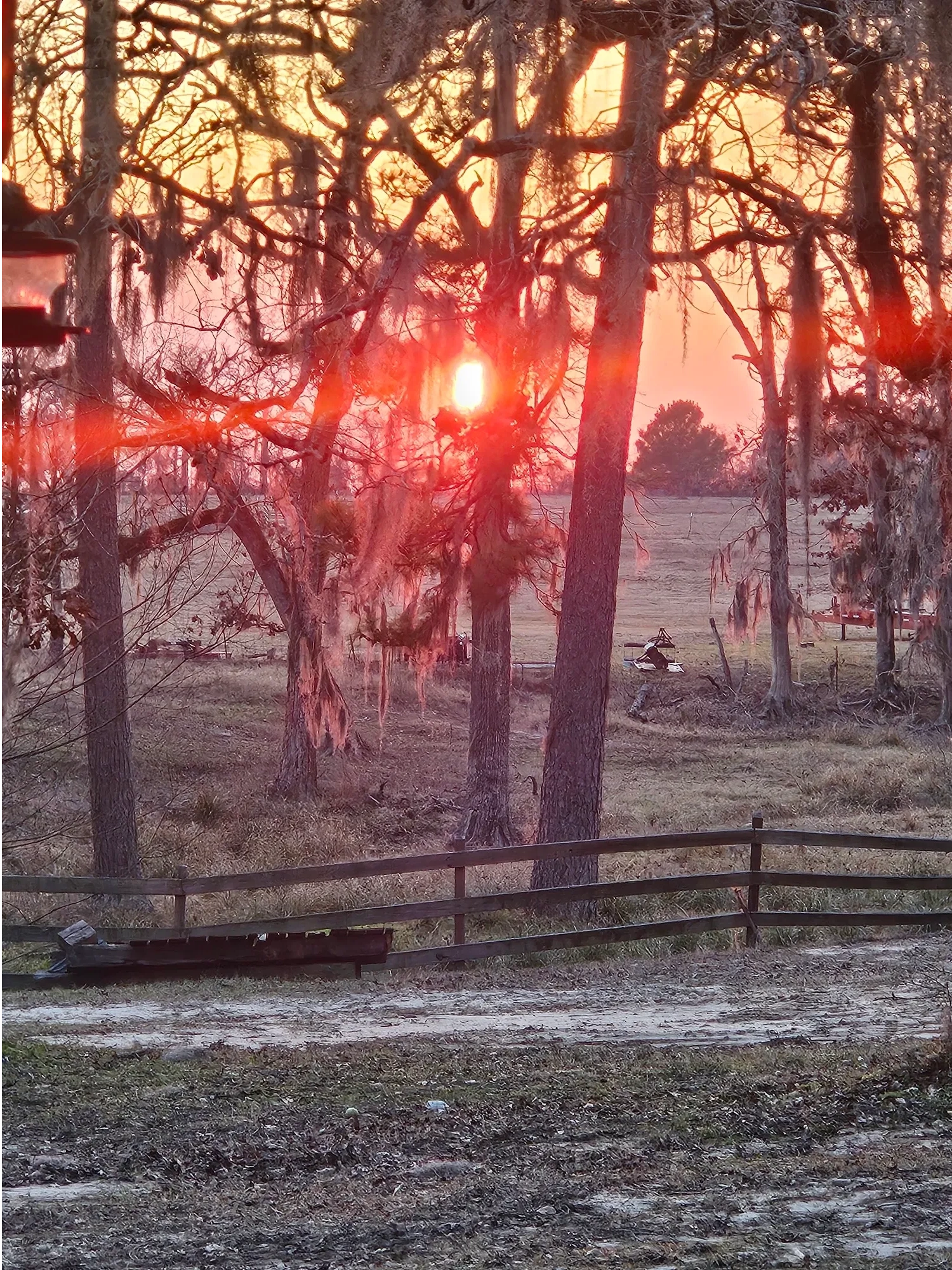 Dramatic sunset through trees with wooden fence