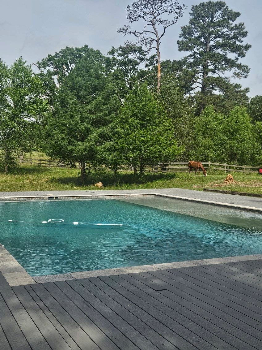 Poolside pastoral landscape with horse grazing